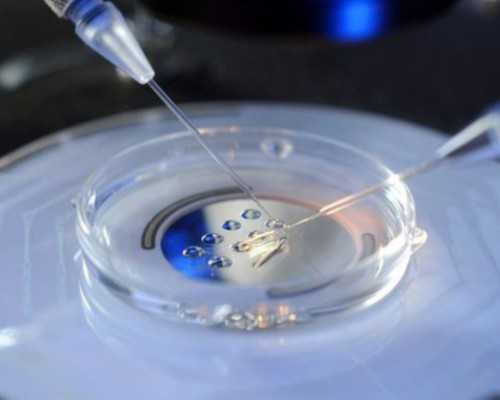 2025年试管婴儿费用解析与机构排名指南