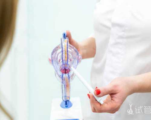 揭秘权威助孕机构:推荐五家顶级辅助生殖中心!