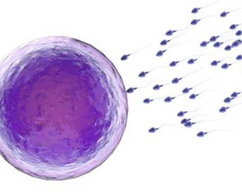 会逗小孩的男生性格解析:从代生代怀角度探讨情感特质