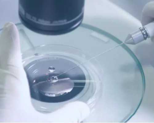 胚胎着床失败的常见症状与原因解析