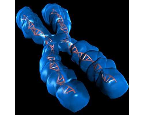 2025江西试管婴儿医院排名及冻胚移植优势详解