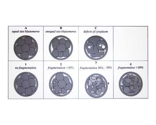 江西试管婴儿医院权威排名及选择指南!