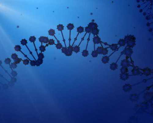 2025江西代怀试管费用解析及机构排名指南