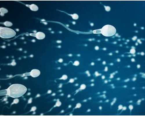 胚胎发育前五天,生命奇迹的起点