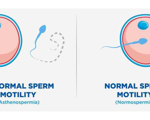试管婴儿医院选择指南：优质机构推荐与成功率分析