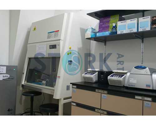 美国顶级月子中心推荐指南：选择优质代怀助孕服务