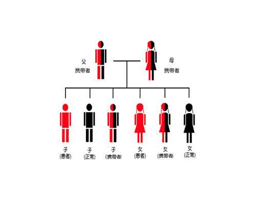 江西省医用精子库与辅助生殖服务指南