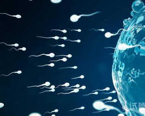 孕早期零食选择：巧克力饼干的安全性分析与医生专业建议